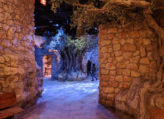 virginia/northern-virginia/attraction/museum-of-the-bible