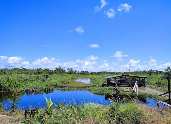 guyana/skeldon/attraction/chris-ranch