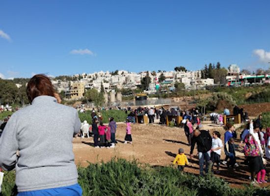 israel/jerusalem-district/attraction/gazelle-valley