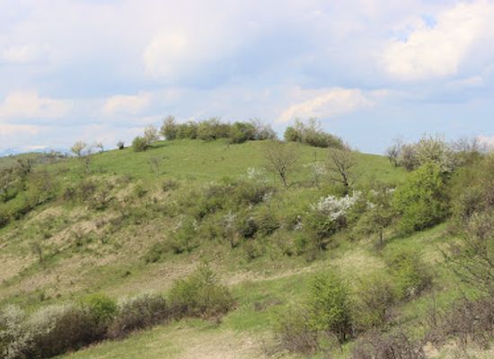 romania/salaj/attraction/cetatea-lupilor