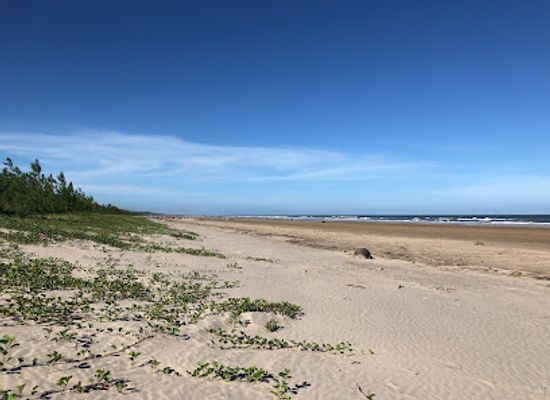 mozambique/zambezia-province/attraction/zalala-beach