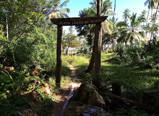 dominican-republic/samana/attraction/playa-lanza-del-norte