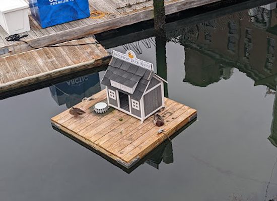 massachusetts/boston/attraction/waterboat-duck-house