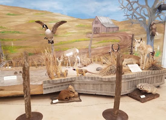 texas/south-plains/attraction/window-on-the-plains-museum