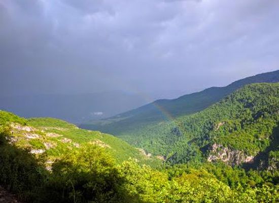 armenia/dilijan/attraction/ijevan-state-sanctuary
