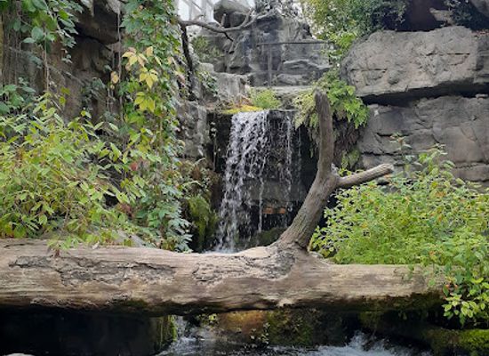 alabama/tennessee-valley/attraction/tennessee-aquarium