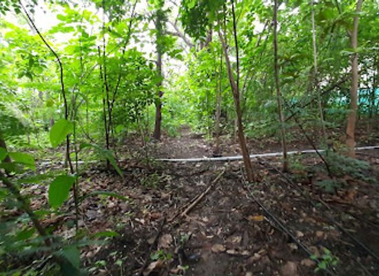 india/aurangabad/attraction/prayas-biodiversity-hot-spot