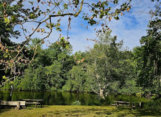 delaware/lums-pond-state-park/attraction/lums-pond-area-5