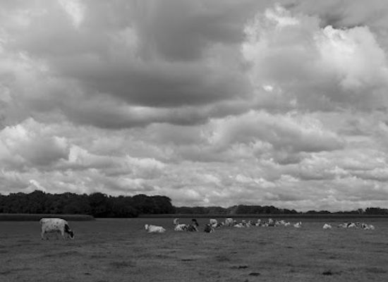 netherlands/sallandse-heuvelrug-national-park/attraction/wandelen-holten