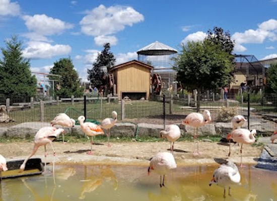 michigan/grand-rapids/attraction/boulder-ridge-wild-animal-park