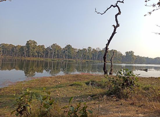 nepal/chitwan/bharatpur/attraction/batuli-pokhari-madhyawarti-samudaayik-ban-upabhoktaa-samuha