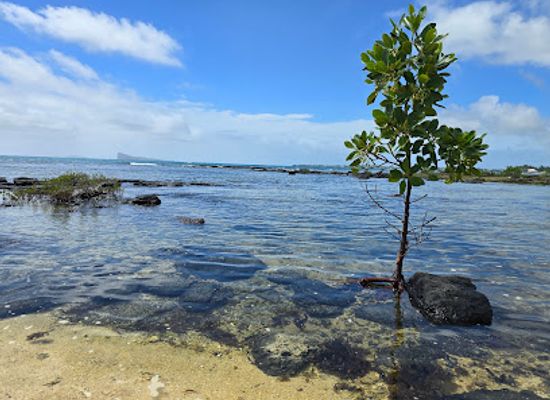 mauritius/trou-aux-biches/attraction/pointe-aux-canonniers-beach