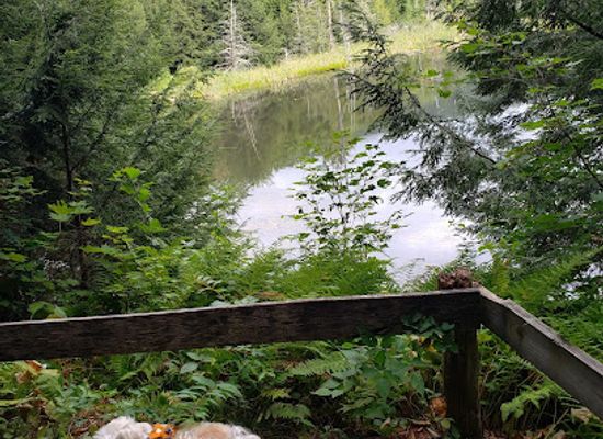 vermont/camel-s-hump-state-park/attraction/audubon-vermont-green-mountain-audubon-center
