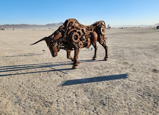 nevada/western-nevada/attraction/black-rock-desert