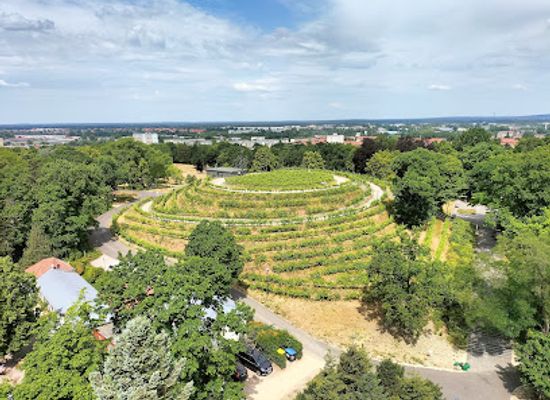 germany/brandenburg/attraction/weinberg-brandenburg-an-der-havel