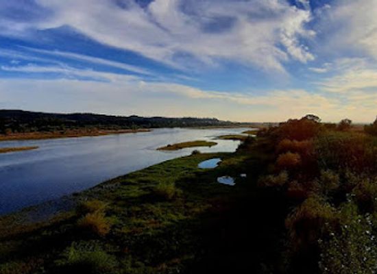 portugal/ribatejo/attraction/ponte-joao-joaquim-isidro-dos-reis