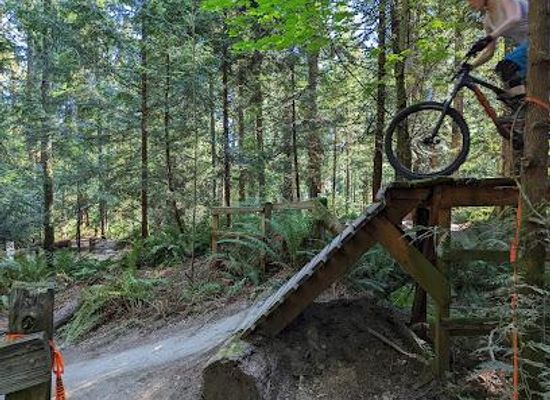 washington/redmond/attraction/duthie-hill-mountain-bike-park