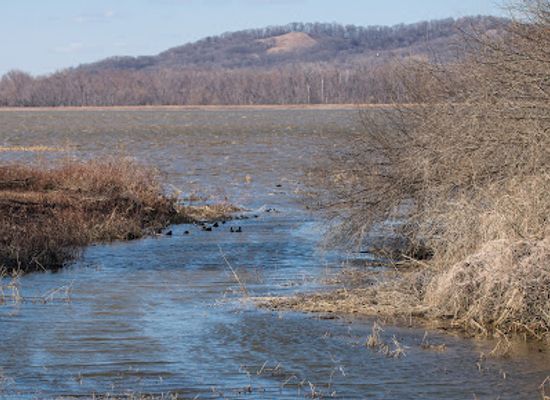 illinois/great-river-road/attraction/two-rivers-national-wildlife-refuge