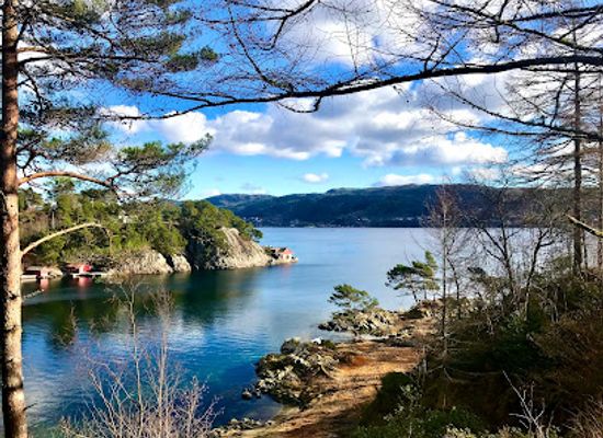 norway/hordaland/attraction/university-gardens-of-the-university-museum-bergen