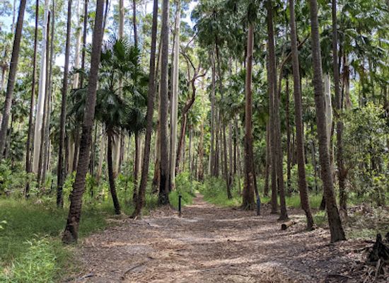 australia/noosa/attraction/wooroi-day-use-area