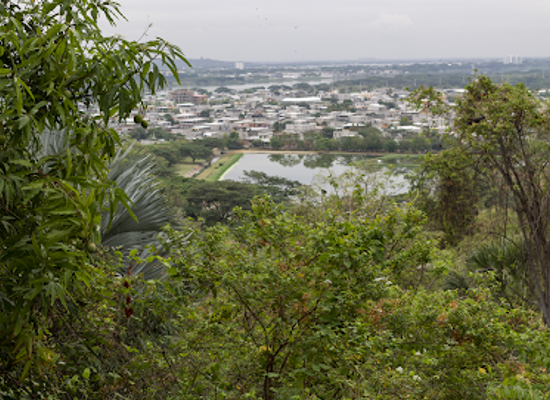 ecuador/guayaquil/attraction/botanical-garden