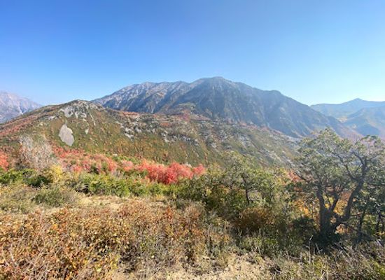 utah/uinta-wasatch-cache-national-forest/attraction/kyhv-peak