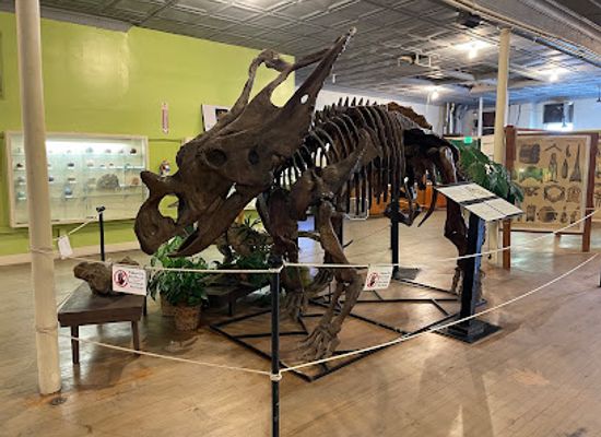california/bakersfield/attraction/buena-vista-museum-of-natural-history-science