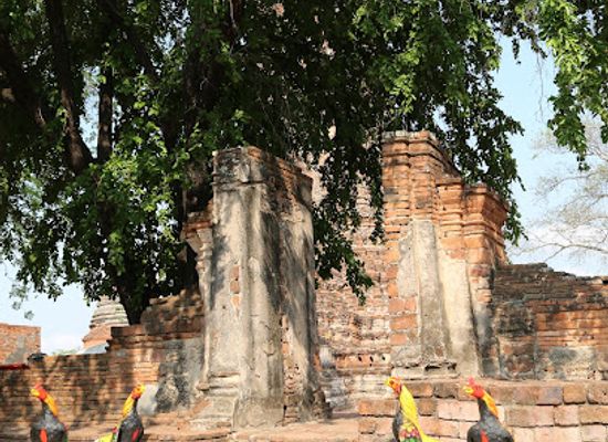 thailand/western-thailand/attraction/wat-worachet