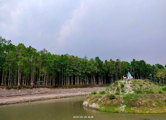 nepal/province-no-1/attraction/bhelagudi-wetland-haldibari