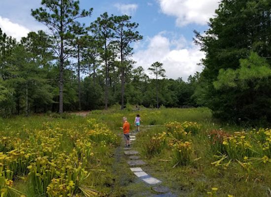 north-carolina/wilmington-area/attraction/stanley-rehder-carnivorous-plant-garden-at-piney-ridge-nature-preserve-wilmington