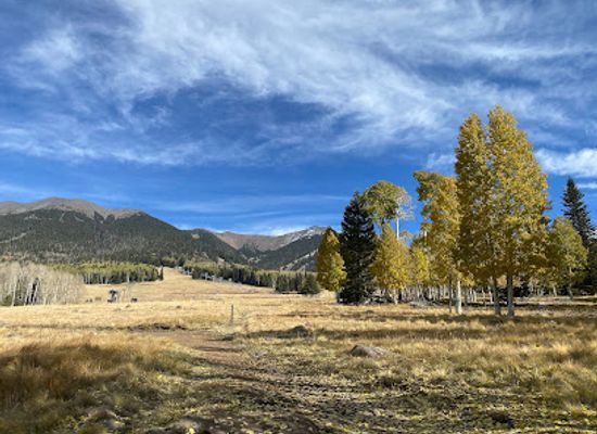 arizona/san-francisco-peaks/attraction/aspen-nature-loop
