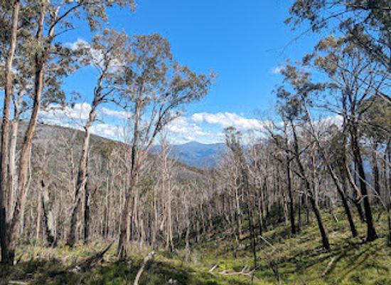 australia/mount-kosciuszko/attraction/pilots-lookout