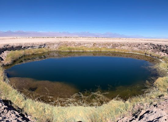 chile/antofagasta-region/attraction/ojos-del-salar