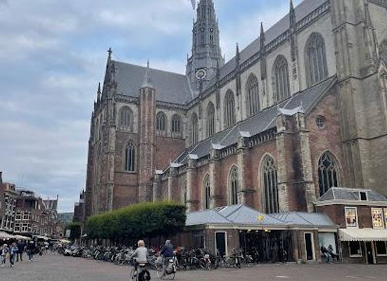 netherlands/haarlem/attraction/de-vishal