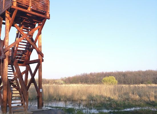 hungary/alfold-great-hungarian-plain/attraction/merzse-swamp-nature-reserve