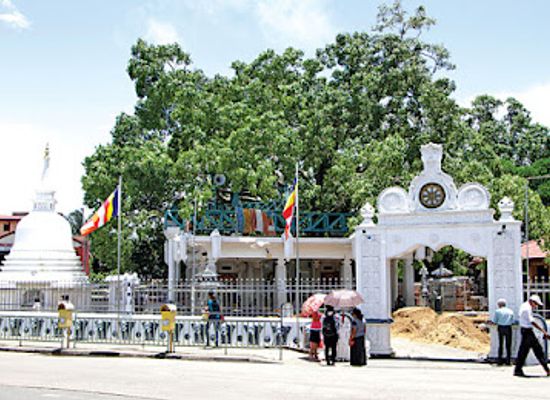 sri-lanka/matara-district/attraction/matara-bodhiya