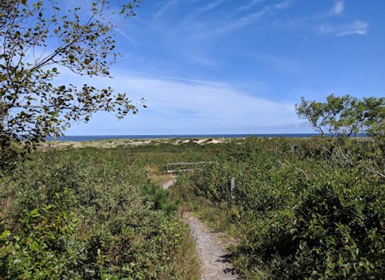 massachusetts/barnstable-county/attraction/pilgrim-spring-trail