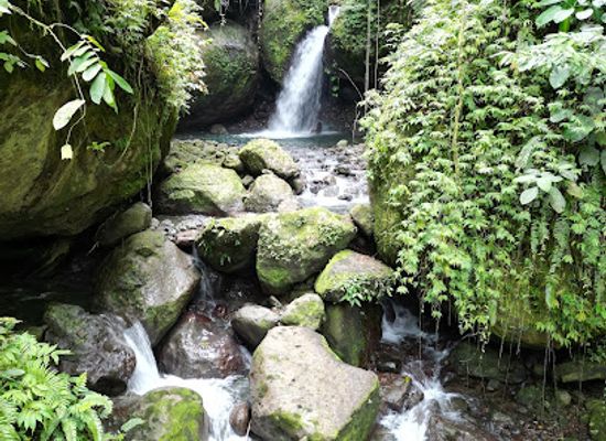 papua-new-guinea/arawa/attraction/kosinu-kuareema-waterfall