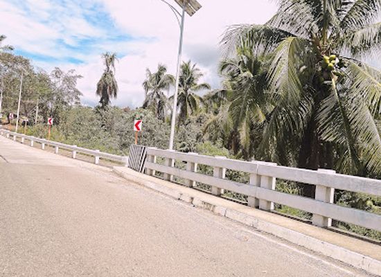 philippines/panglao-island/attraction/dauis-bridge