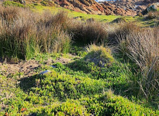 australia/tasmania/attraction/bluff-hill-point