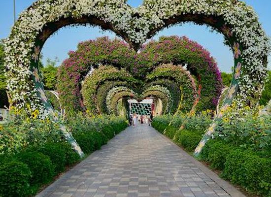 united-arab-emirates/ajman/attraction/dubai-miracle-garden