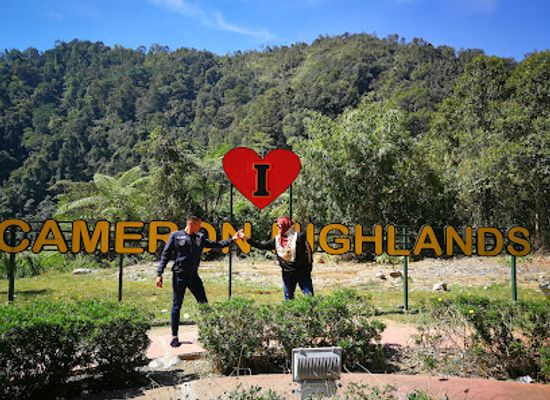 malaysia/east-coast/attraction/i-love-cameron-highlands-sign