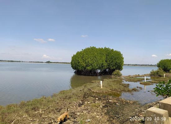 sri-lanka/batticaloa-district/attraction/batticaloa-lagoon