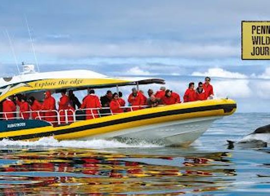 australia/hobart/attraction/pennicott-wilderness-journeys