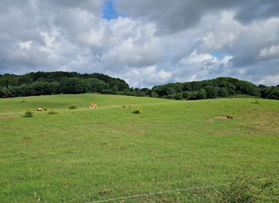 denmark/mols-bjerge-national-park/attraction/kvalitetssti-langemosestien