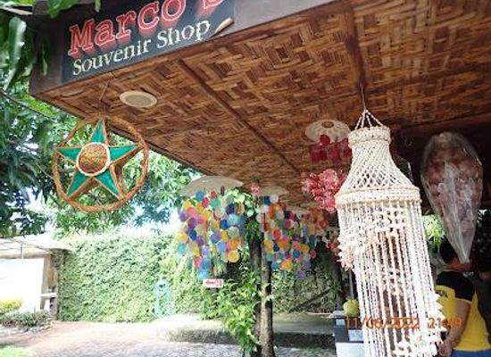 philippines/cebu-city/attraction/alegre-guitars-inc