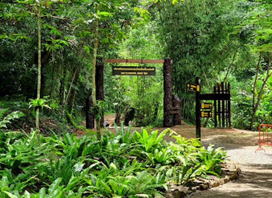 thailand/krabi-province/attraction/khao-phanom-bencha-national-park