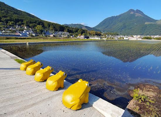 japan/yufuin/attraction/sakasayubutake