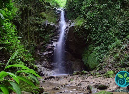 colombia/ibague/attraction/entreaguas-reserva-natural