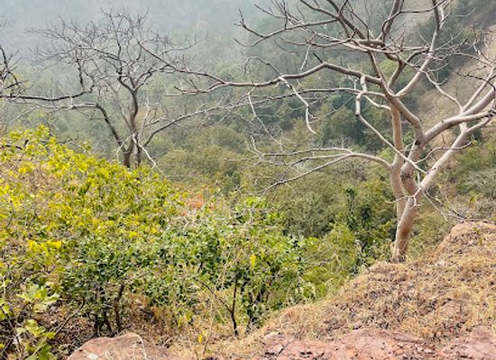 india/madhya-pradesh/attraction/telan-marg-view-point